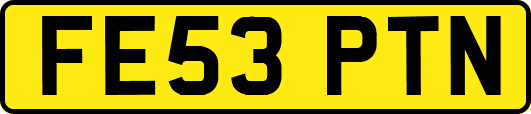 FE53PTN