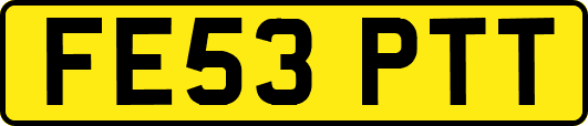 FE53PTT