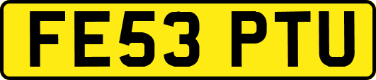 FE53PTU