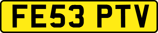 FE53PTV