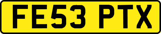 FE53PTX