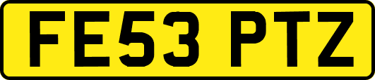 FE53PTZ