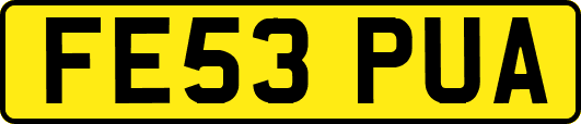 FE53PUA