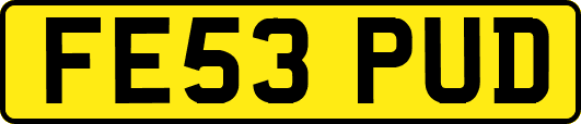 FE53PUD