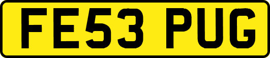 FE53PUG