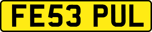 FE53PUL