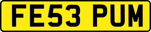 FE53PUM