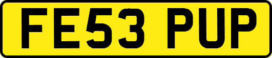 FE53PUP