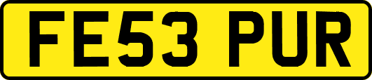 FE53PUR
