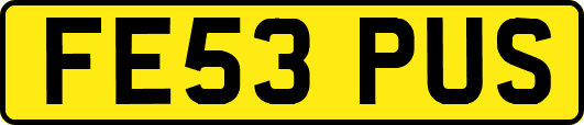 FE53PUS