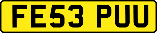 FE53PUU