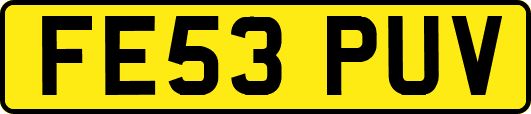 FE53PUV