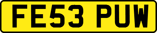 FE53PUW