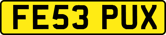 FE53PUX