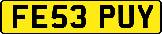 FE53PUY