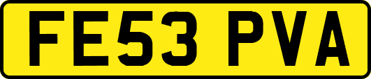 FE53PVA