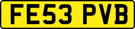 FE53PVB
