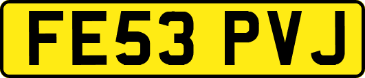 FE53PVJ