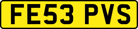 FE53PVS