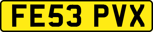FE53PVX