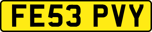 FE53PVY