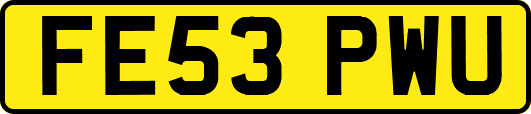FE53PWU