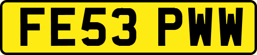 FE53PWW