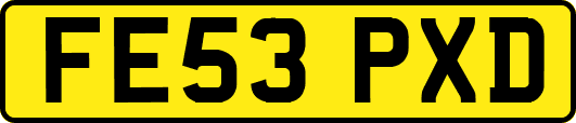 FE53PXD