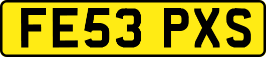 FE53PXS