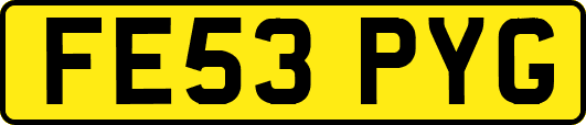 FE53PYG
