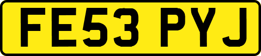 FE53PYJ