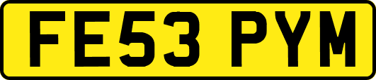 FE53PYM