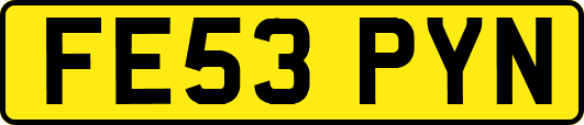 FE53PYN