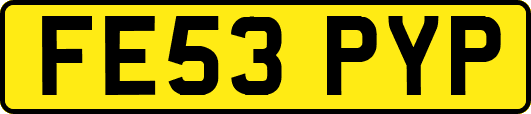 FE53PYP