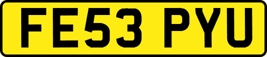 FE53PYU