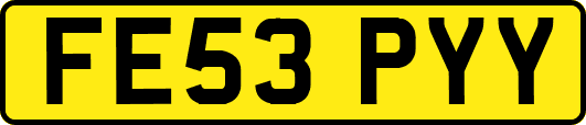 FE53PYY