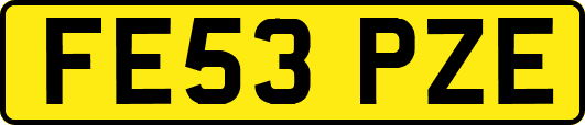 FE53PZE