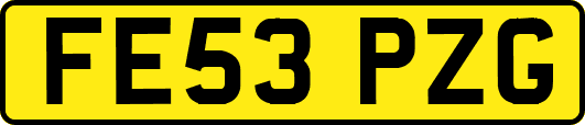 FE53PZG