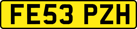 FE53PZH