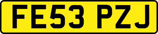 FE53PZJ