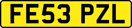 FE53PZL