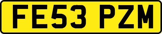 FE53PZM