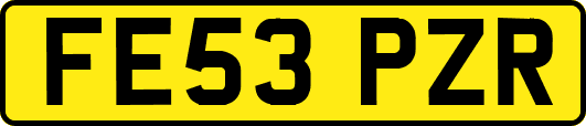 FE53PZR