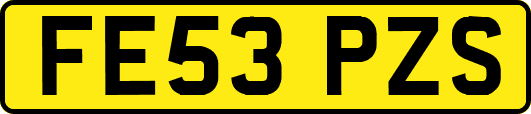 FE53PZS
