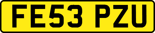 FE53PZU