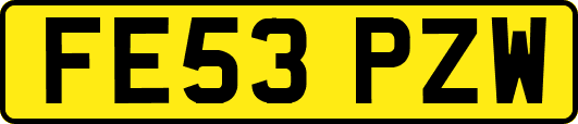 FE53PZW
