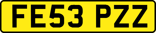 FE53PZZ