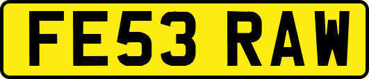 FE53RAW