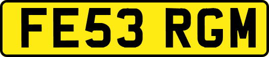 FE53RGM