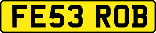 FE53ROB